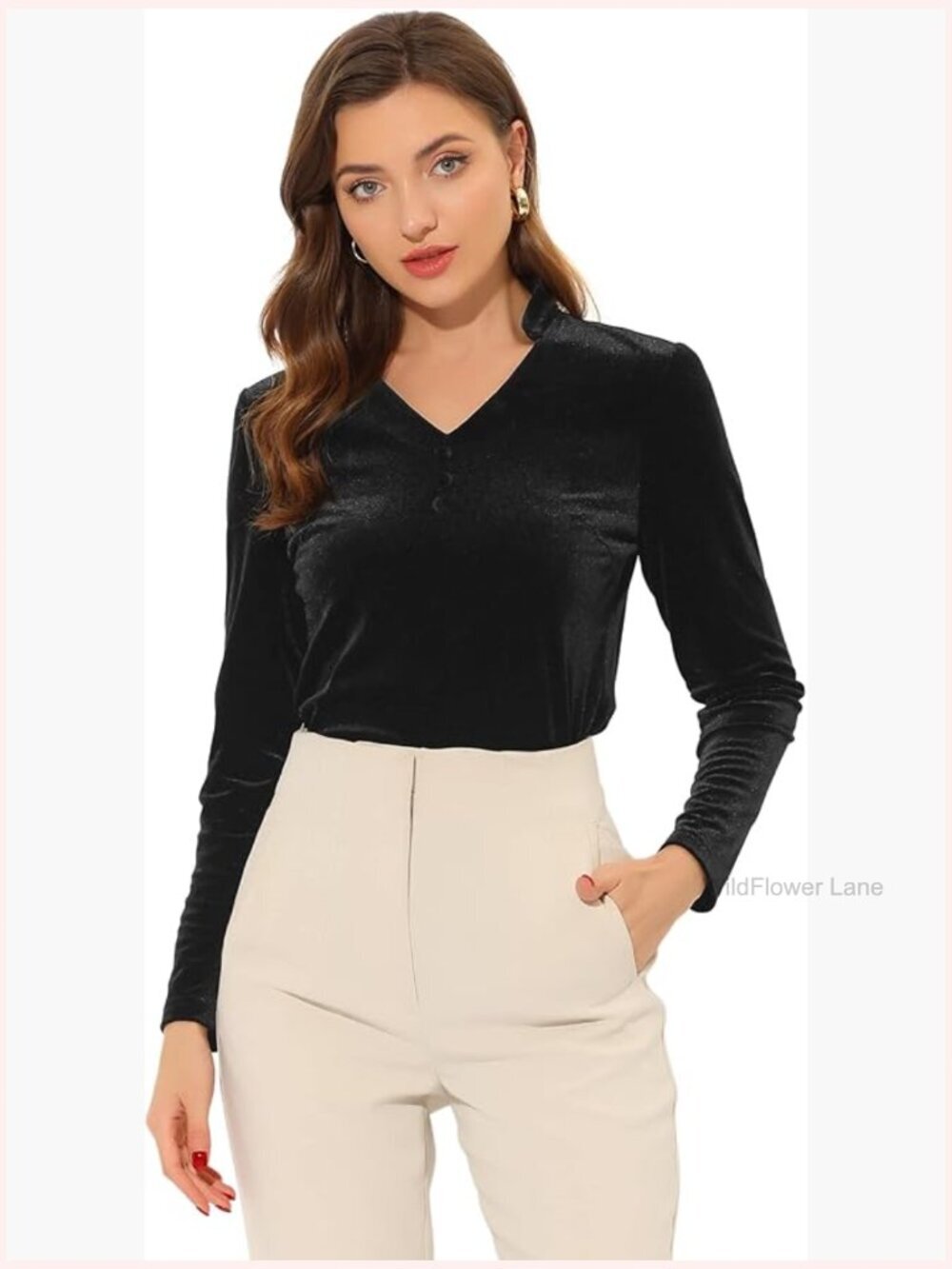 Elegant Velvet V-Neck Long Sleeve Blouse for Office & Holiday